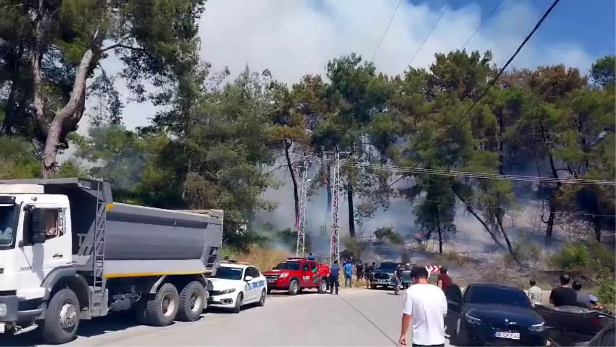 Manavgat'ta Orman Yangını: Ekipler Mücadele Ediyor