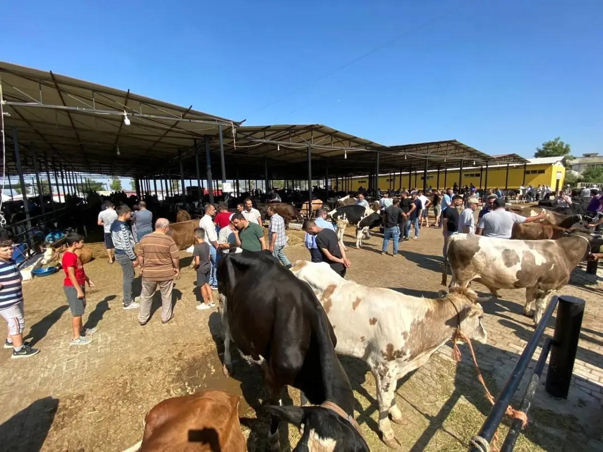 Aydın'da Hayvan Pazarları Tedbiren Kapatıldı