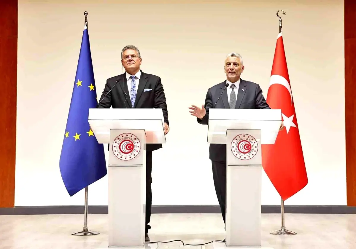 Bakan Bolat: 'AB Gümrük Birliği'nin güncellenmesi bir tercih değil bir zorunluluktur'
