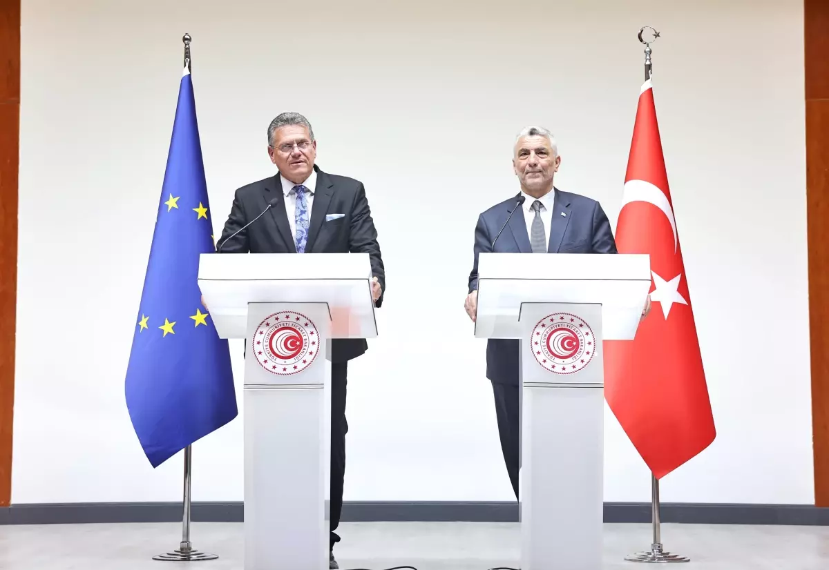 Bakan Bolat: Gümrük Birliği'nin güncellenmesi iki taraf için de zorunluluktur