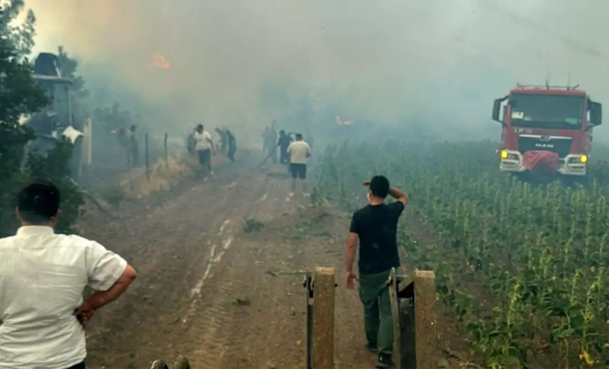 Bilecik'te Orman Yangını, Kuyubaşı Köyü Boşaltıldı
