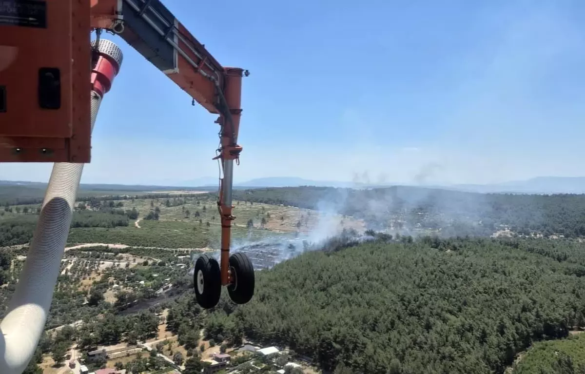 İzmir'de Yangınla Mücadele Devam Ediyor