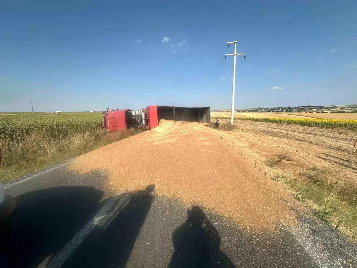 Tekirdağ'da Buğday Yüklü Kamyon Devrildi, Sürücü Yaralandı