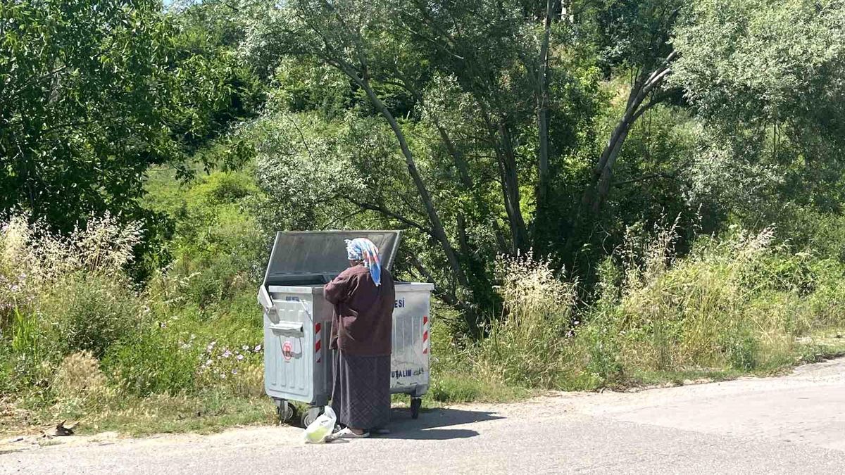 Sinop'ta 14 Yıldır Çöpten Topladığı Artık Yemeklerle Hayvanları Besleyen Kadın