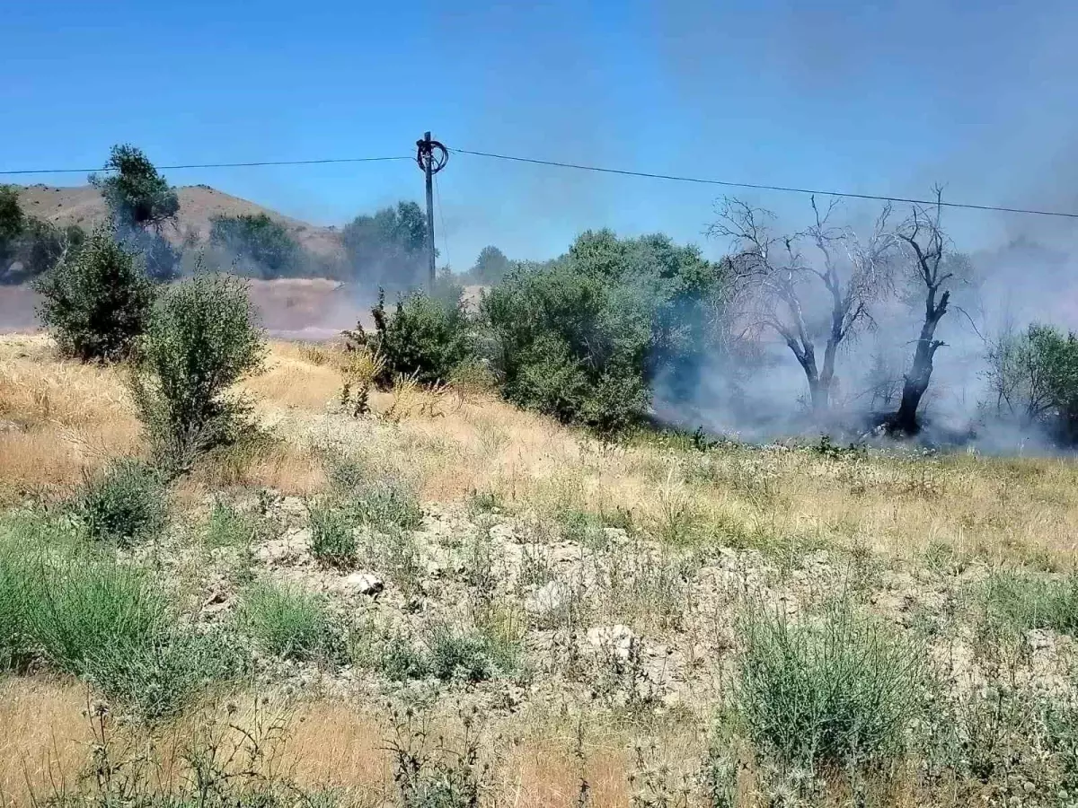 Elazığ'da Yangın Alarmı: Keban'da Alevler Kısa Sürede Büyüdü