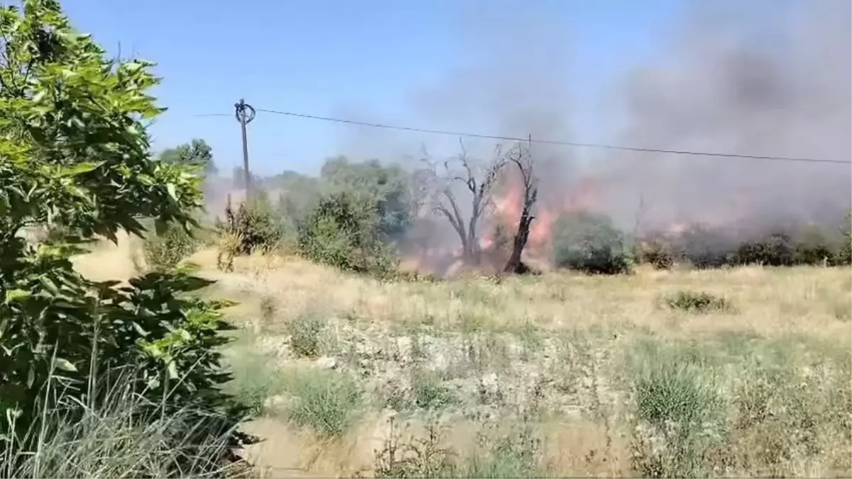 Elazığ Keban'da Orman Yangını