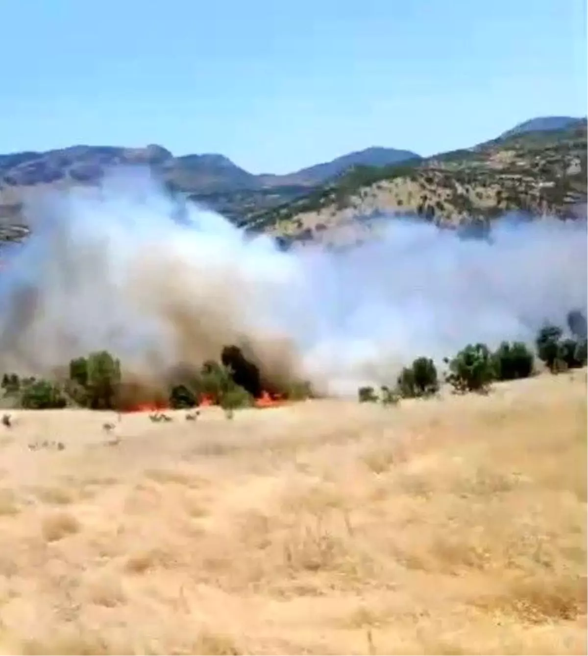 Adıyaman'da Orman Yangını Korkuttu