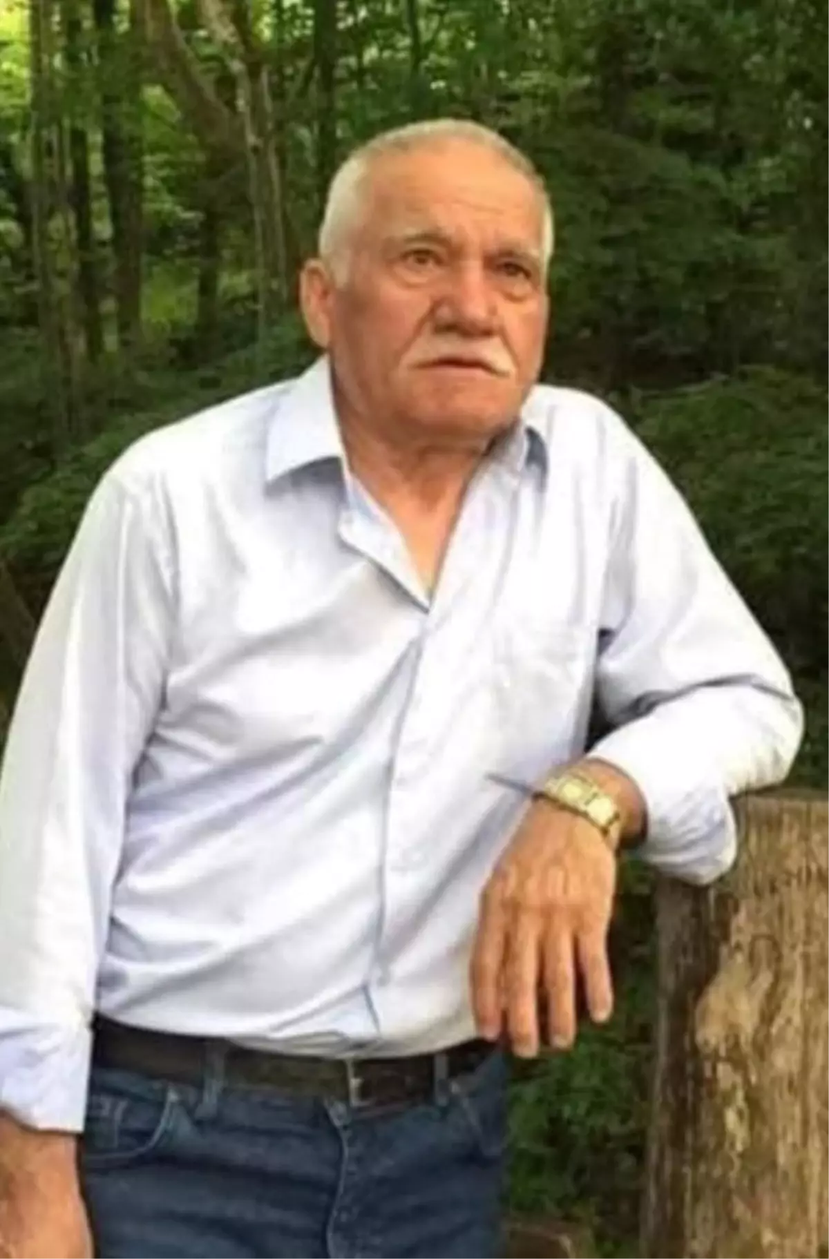 Arı Sokması Sonucu Çiftçi Hayatını Kaybetti