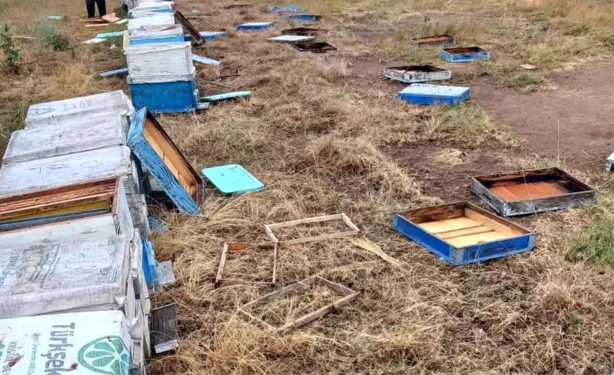 Tekirdağ'da Hortum Arı Kovanlarını Vurdu