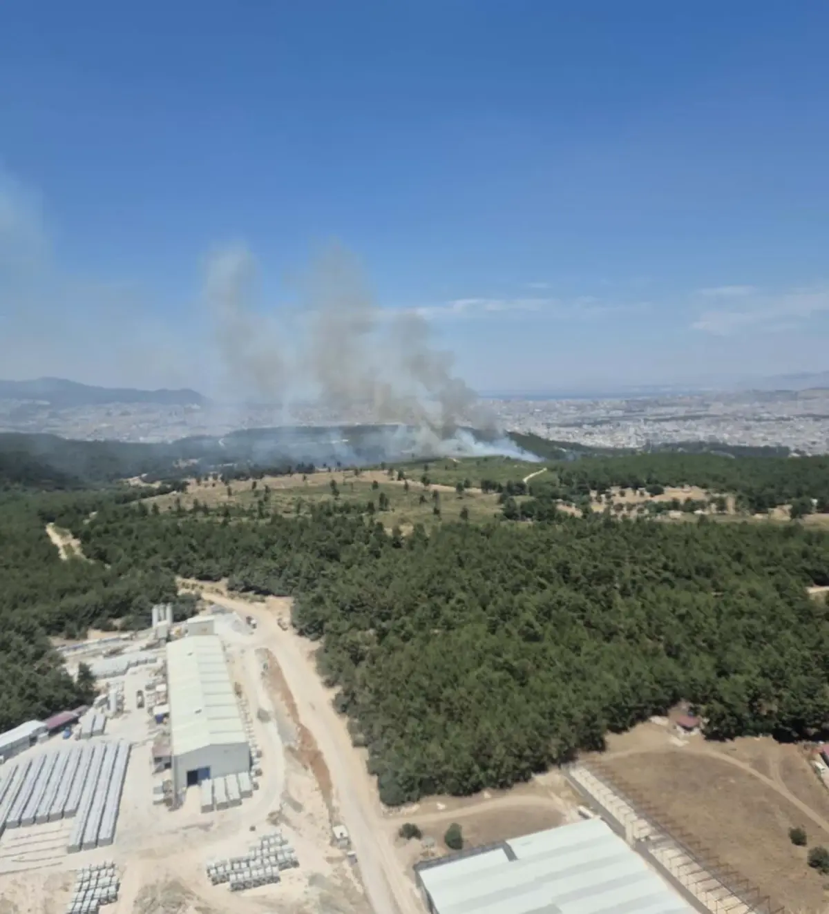 İzmir Buca'da Orman Yangını: Havadan ve Karadan Müdahale Devam Ediyor