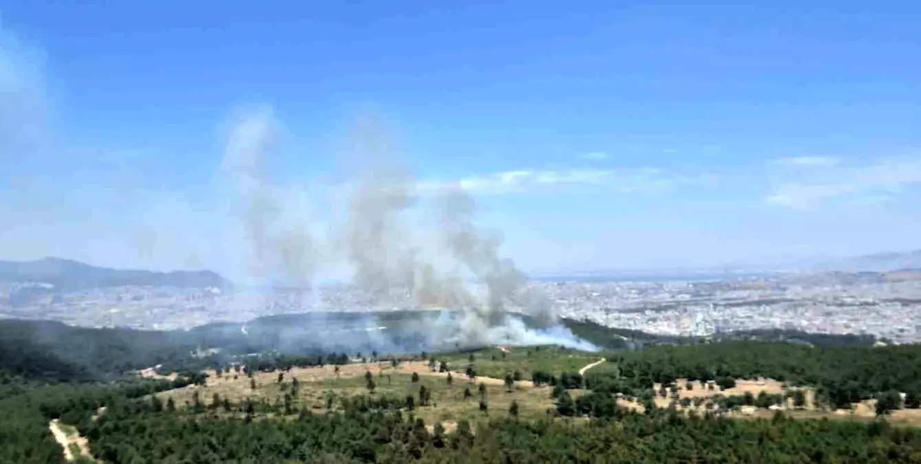 İzmir'de Orman Yangınına Hava ve Karadan Müdahale