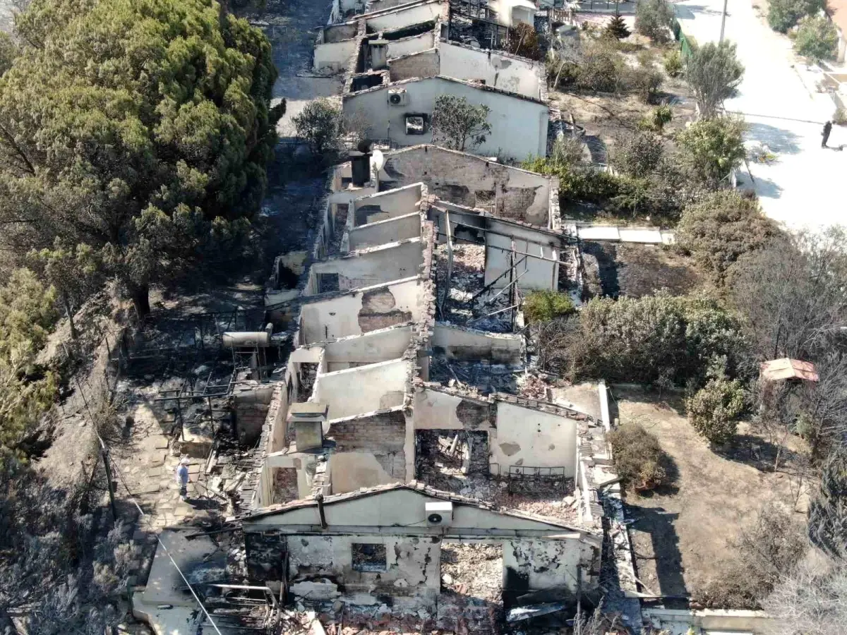 İzmir'de Orman Yangını: 85 Hane Kullanılamaz Hale Geldi