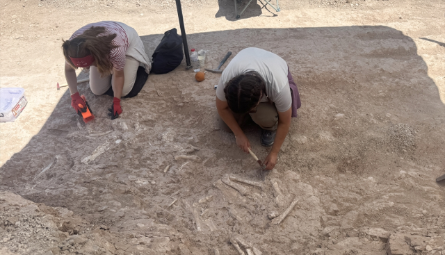The fossil area discovered by the goat herder is dated to 7.7 million years