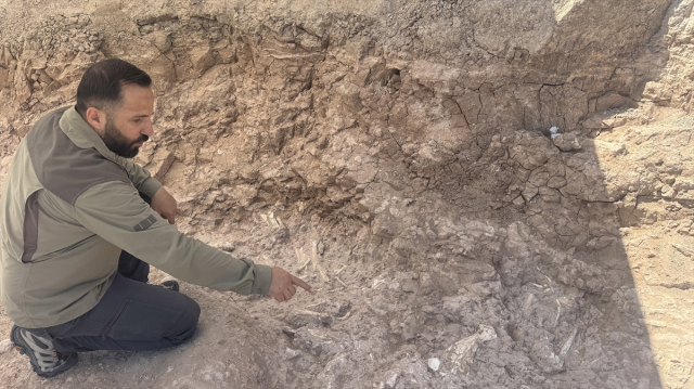 The fossil area discovered by the goat herder is dated to 7.7 million years