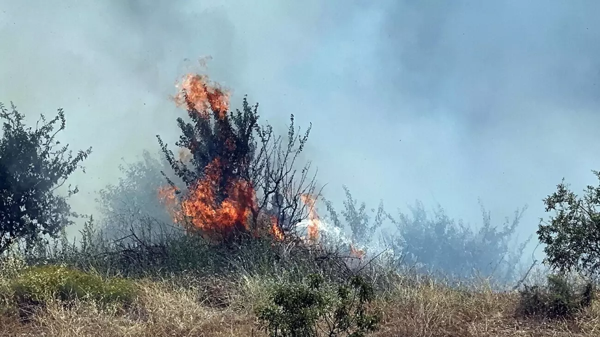 Manisa'da Orman Yangını Kontrol Altına Alındı