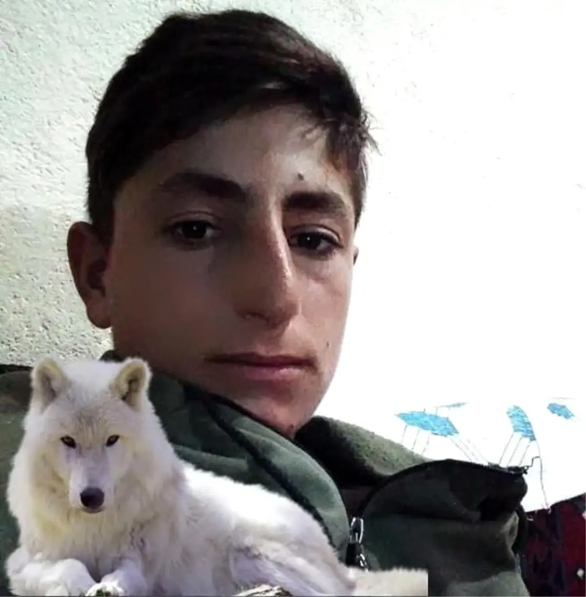 Muş'ta İş Kazası: 20 Yaşındaki Genç Hayatını Kaybetti