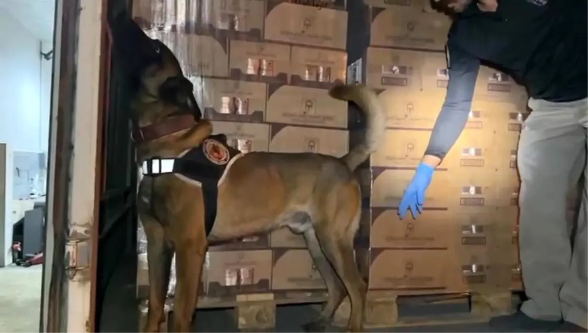 Kocaeli'de TEM Otoyolu'nda 9 Kilo Kokain Ele Geçirildi