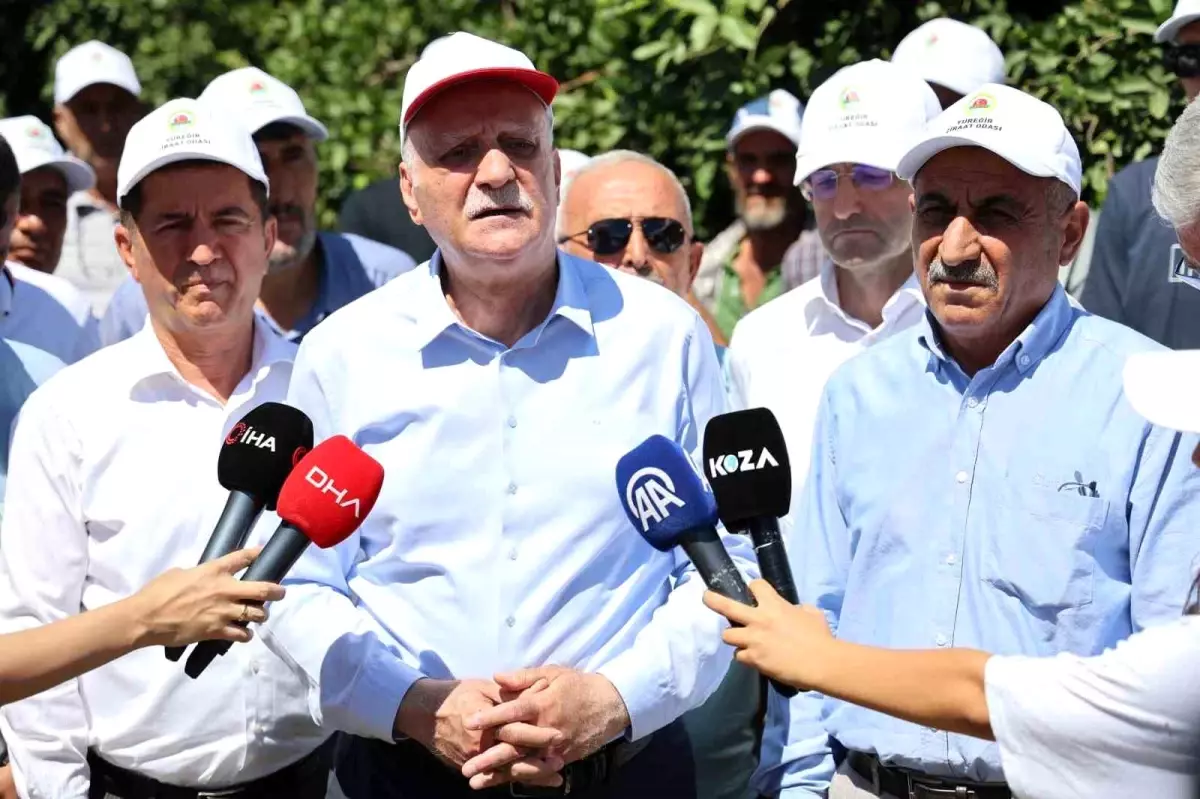Türkiye Tarımı Tehdit Altında: Çiftçi Nüfusu Yaşlanıyor ve Zirai Don Zararları Büyüyor