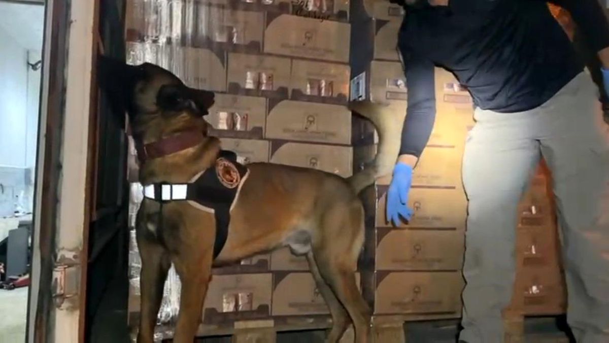 TEM Otoyolu'nda 9 Kilogram Kokain Ele Geçirildi