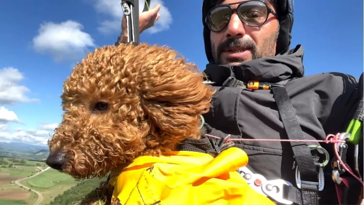 Eskişehir'de Toby İsimli Köpek Yamaç Paraşütü ile Uçtu