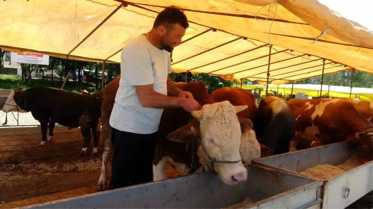 Hayvan Pazarları İkinci Bir Emre Kadar Kapatıldı