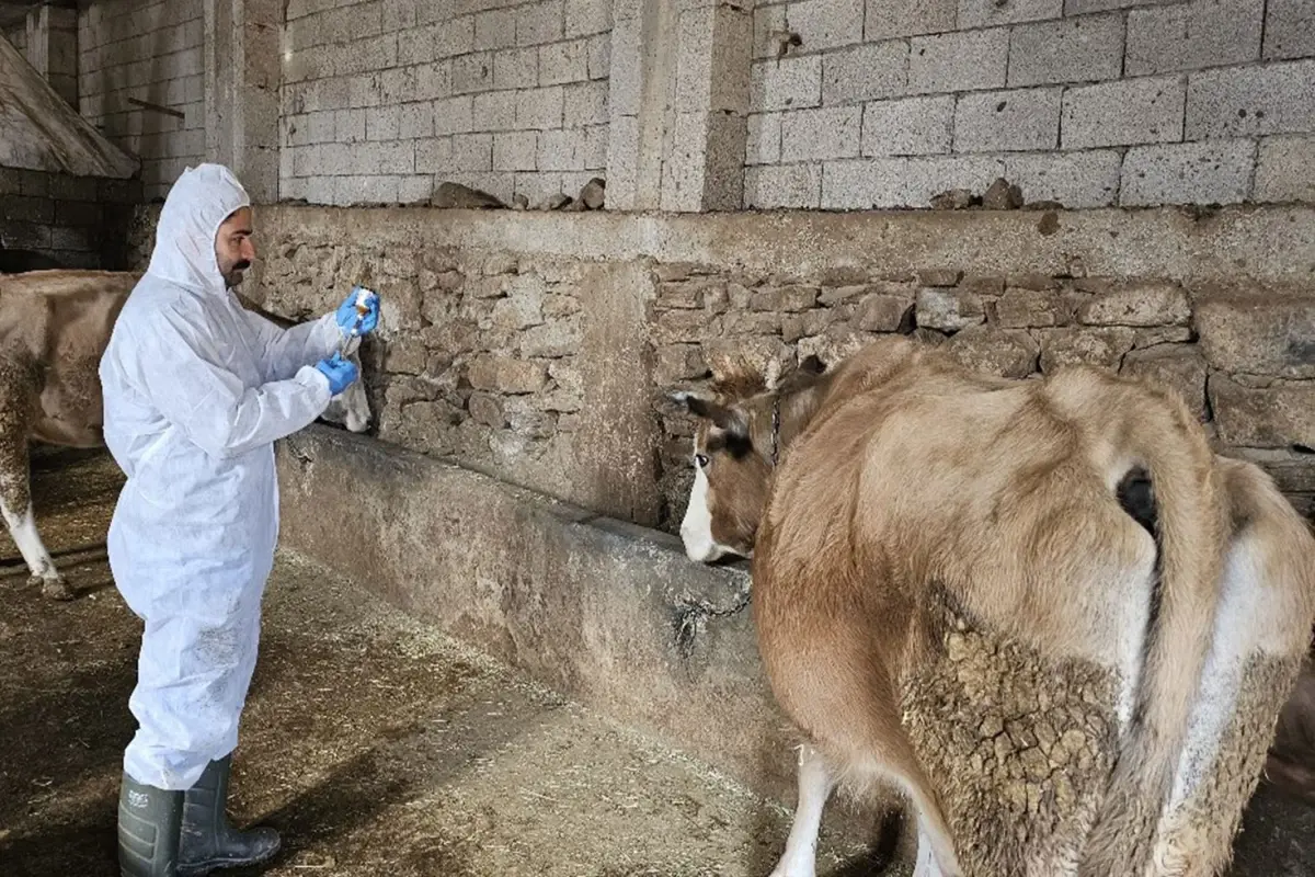 Ülke genelinde tüm hayvan pazarları kapatıldı