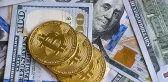 Wall Street Bitcoin fonlarına 15 gün boyunca para yağdırdı