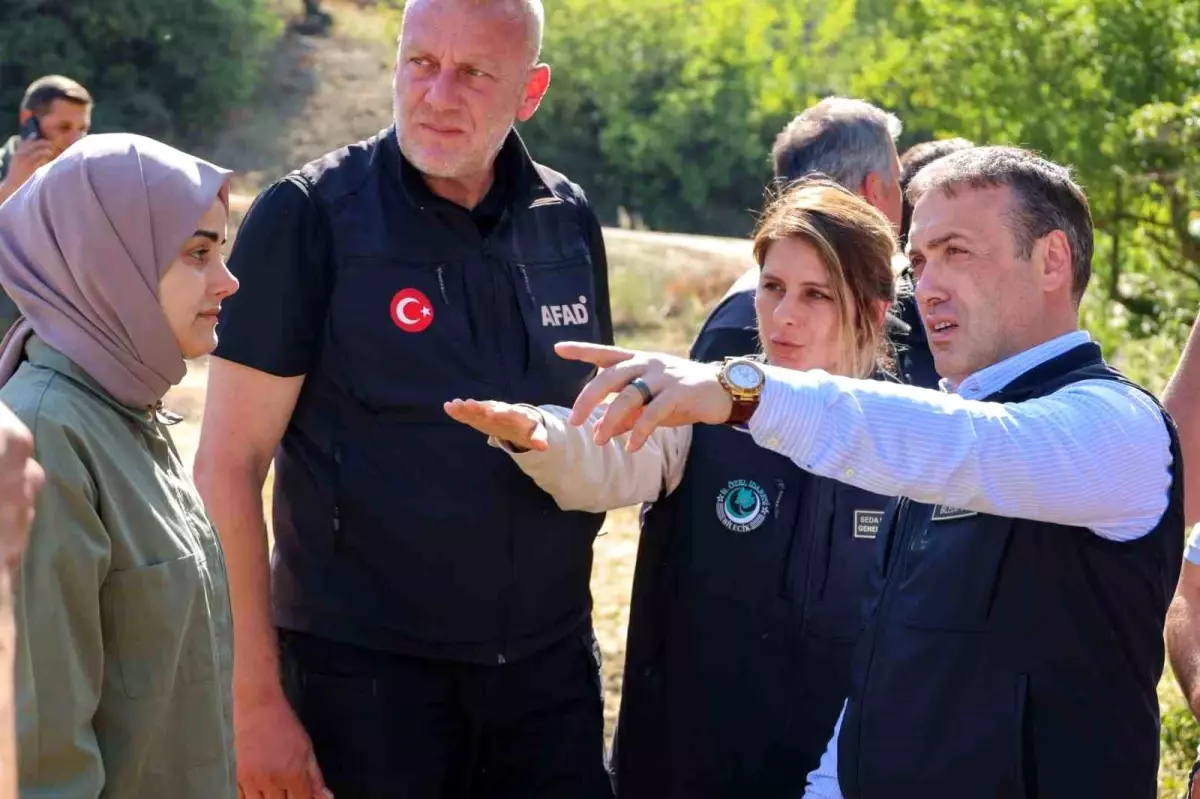 Bilecik'te Orman Yangınlarının Ardından Konteyner Alanları Oluşturuluyor