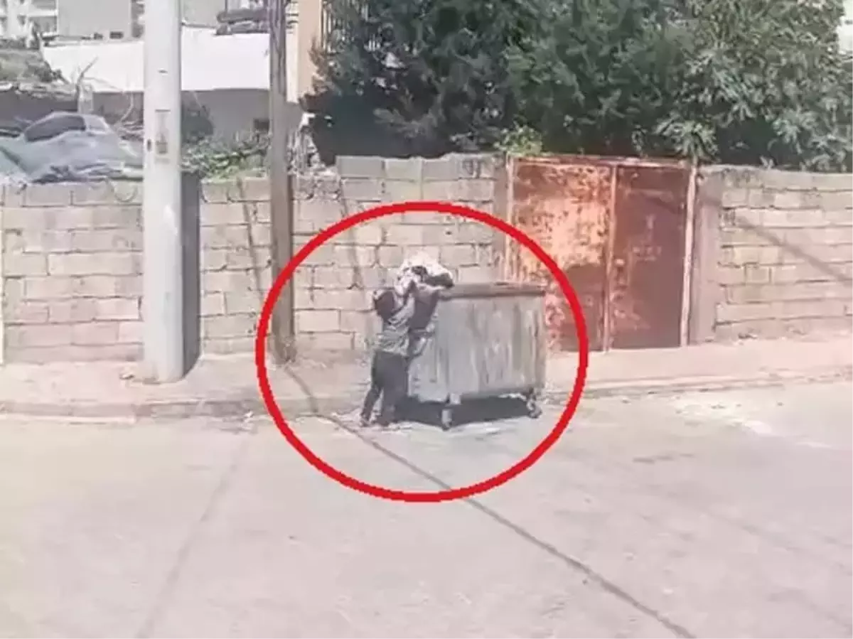 Nihiyet Begari'ye Ödül: Çöp Konteynerine Kilim Attığı İçin Bisiklet Verildi