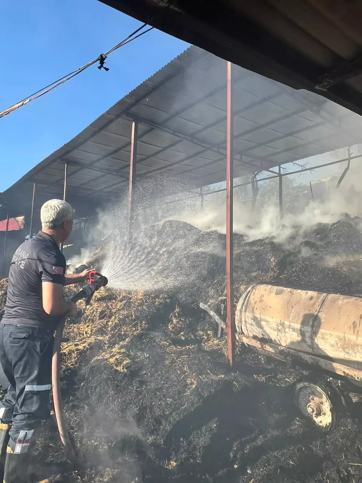 Adana'da Ahırda Yangın: 5 İnek Hayatını Kaybetti