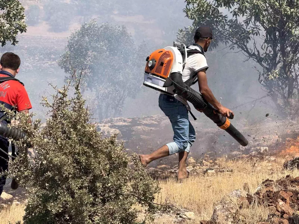 Mardin'de Çiftçiler Yangına karşı Amansız Mücadele Verdi