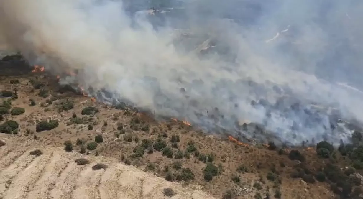 Aydın'da Tarım Arazisinde Yangın