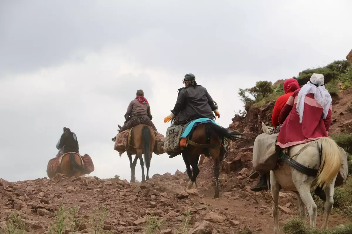 Yüksekova'da Kadınlar At Sırtında Yayla Yolculuğu Yapıyor