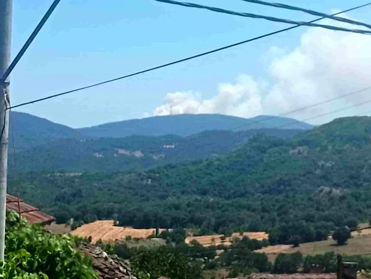 Bursa Mustafakemalpaşa'da Orman Yangını Çıktı