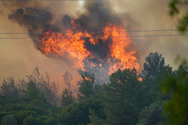 Çeşme'deki orman yangına müdahale eden ekipler alevler arasında kaldı Çeşme'deki orman yangına müdahale eden ekipler alevler arasında kaldı