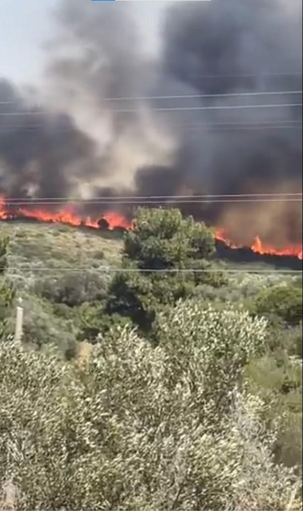 Fire in Çeşme and Urla! Some neighborhoods have been evacuated
