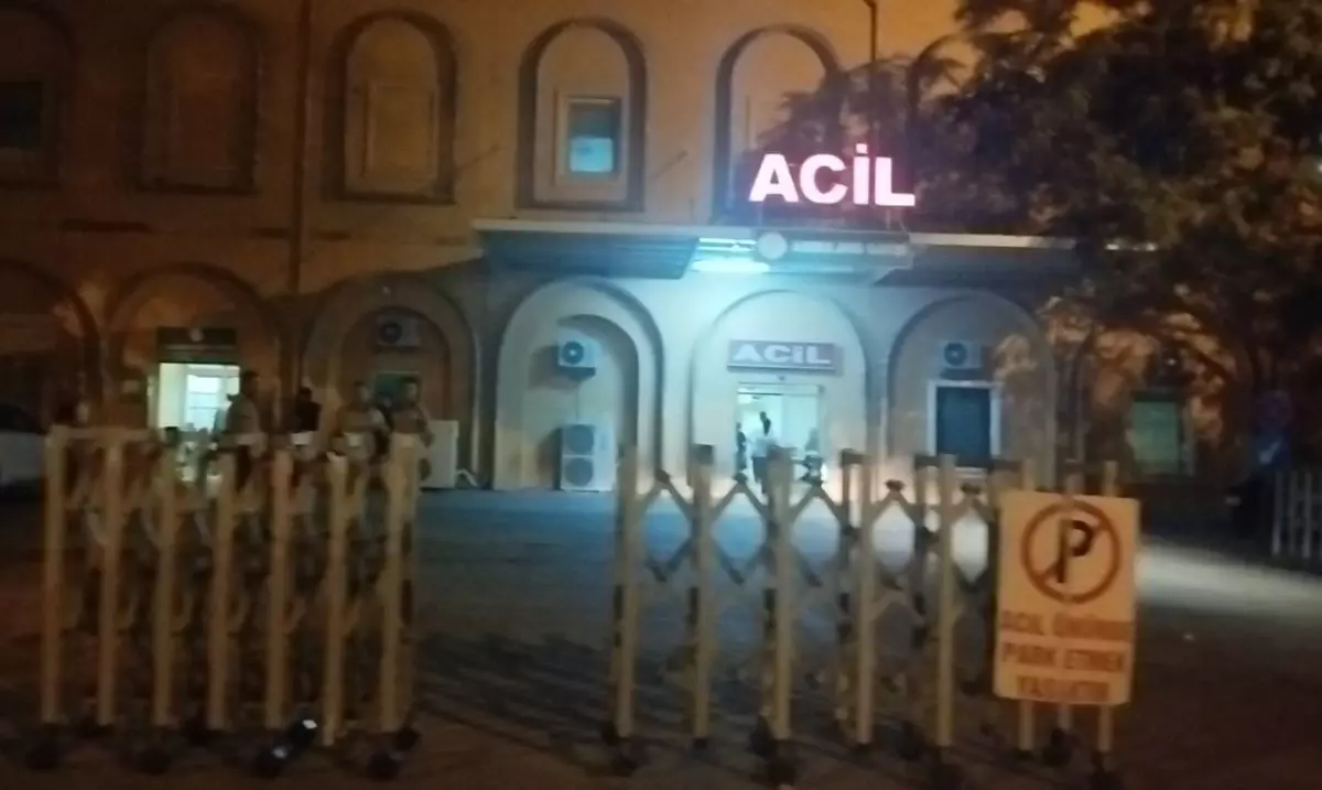 Kızıltepe'de Kardeşler Arasında Silahlı Kavga: 2 Yaralı