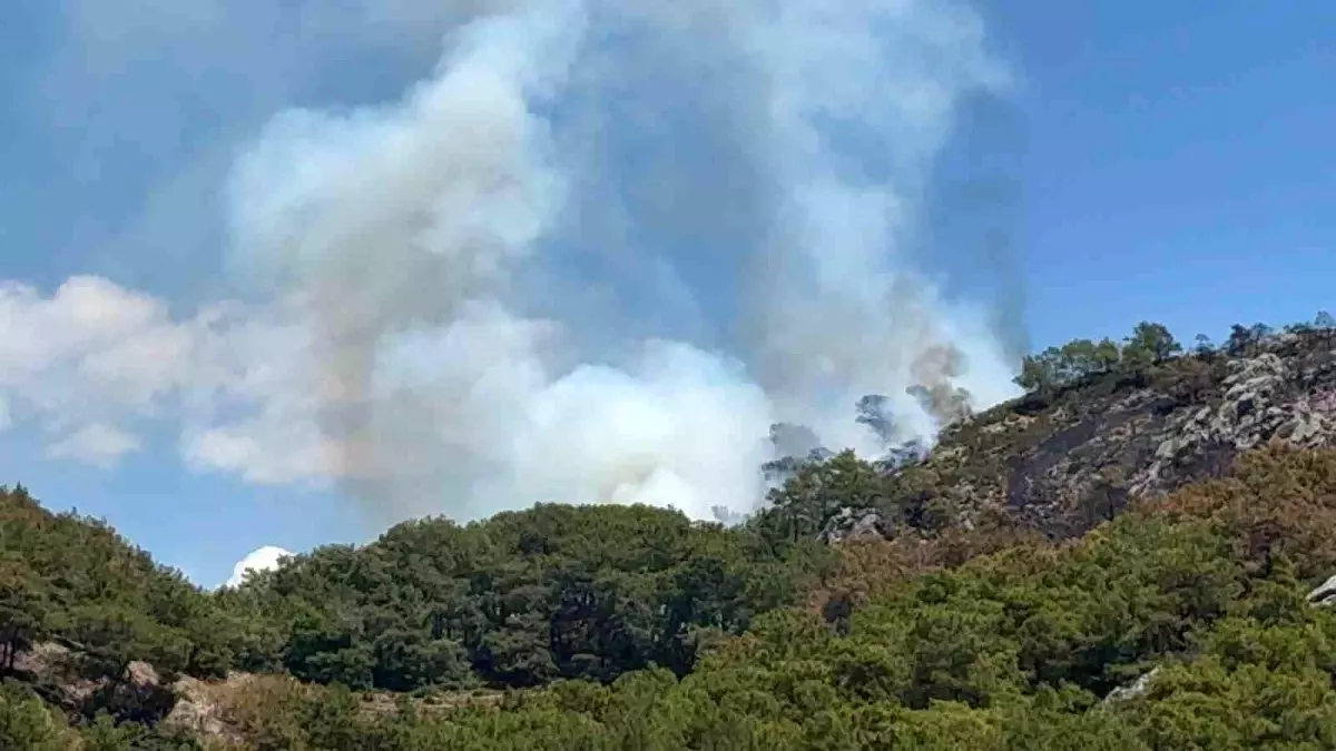 Gazipaşa'da Yeniden Yangın Çıktı