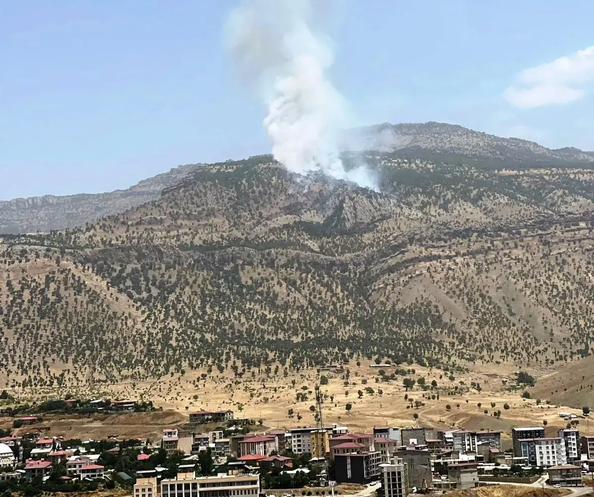 Hakkari'de Orman Yangını Kontrol Altına Alındı