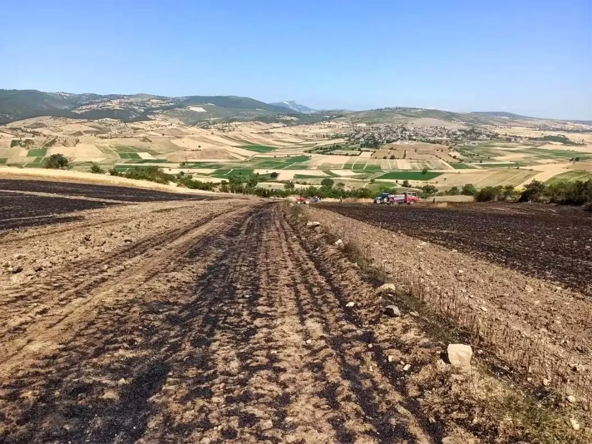 Vezirköprü Ziraat Odası'ndan Anız Yakılmasına Dikkat Çağrısı