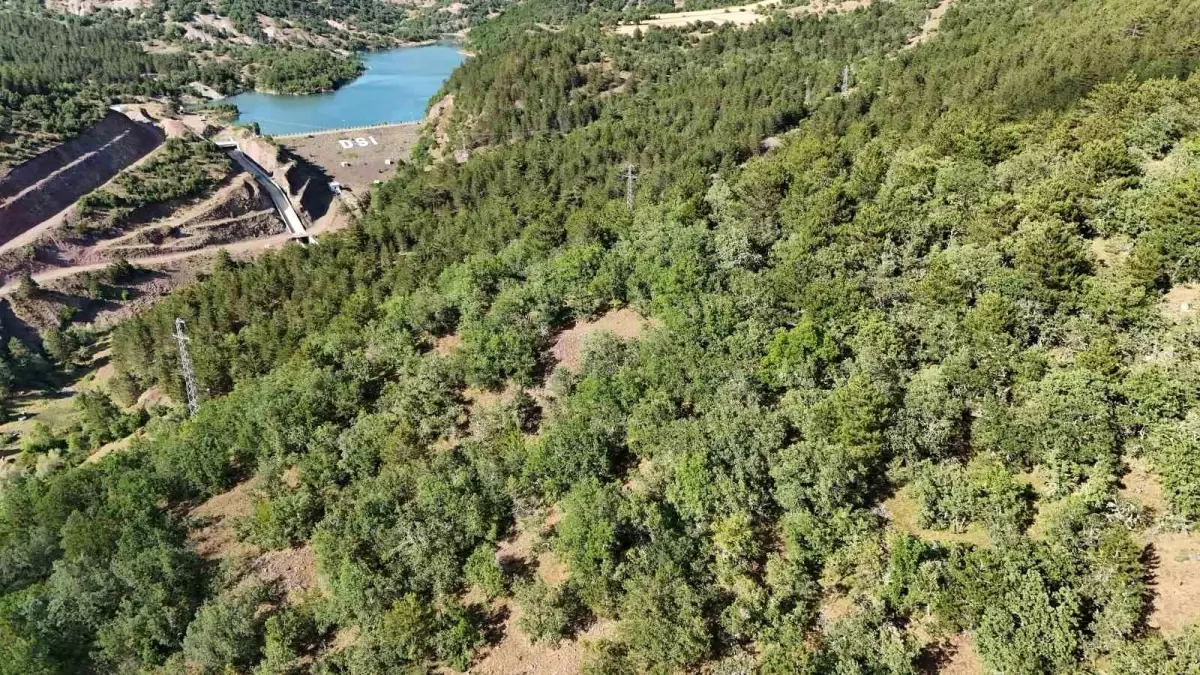 Kastamonu'da Kaybolan İki Büyükbaş Hayvan İçin Dron ile Arama