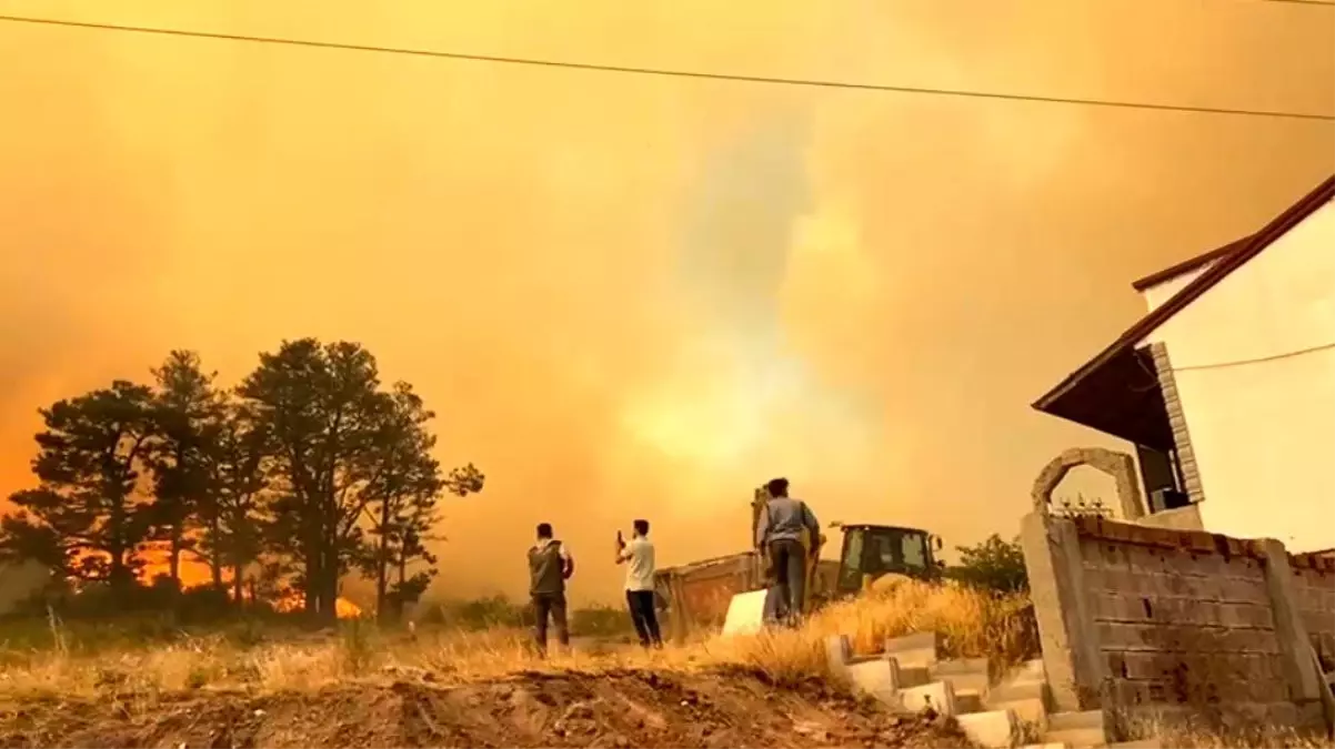 Kocaeli'de Orman Yangını: Evler Tahliye Ediliyor