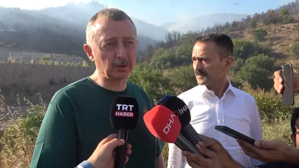 Kocaeli'de Orman Yangını Kontrol Altına Alındı
