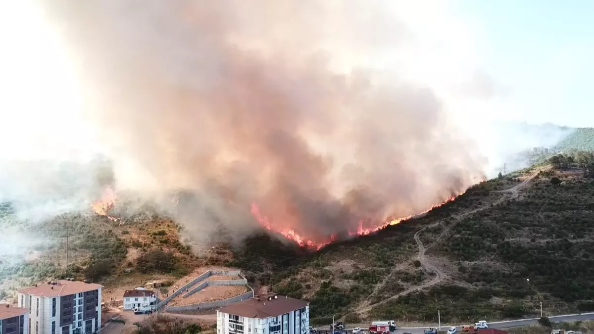 Kocaeli'de Orman Yangınında 3 Kişi Dumandan Etkilendi