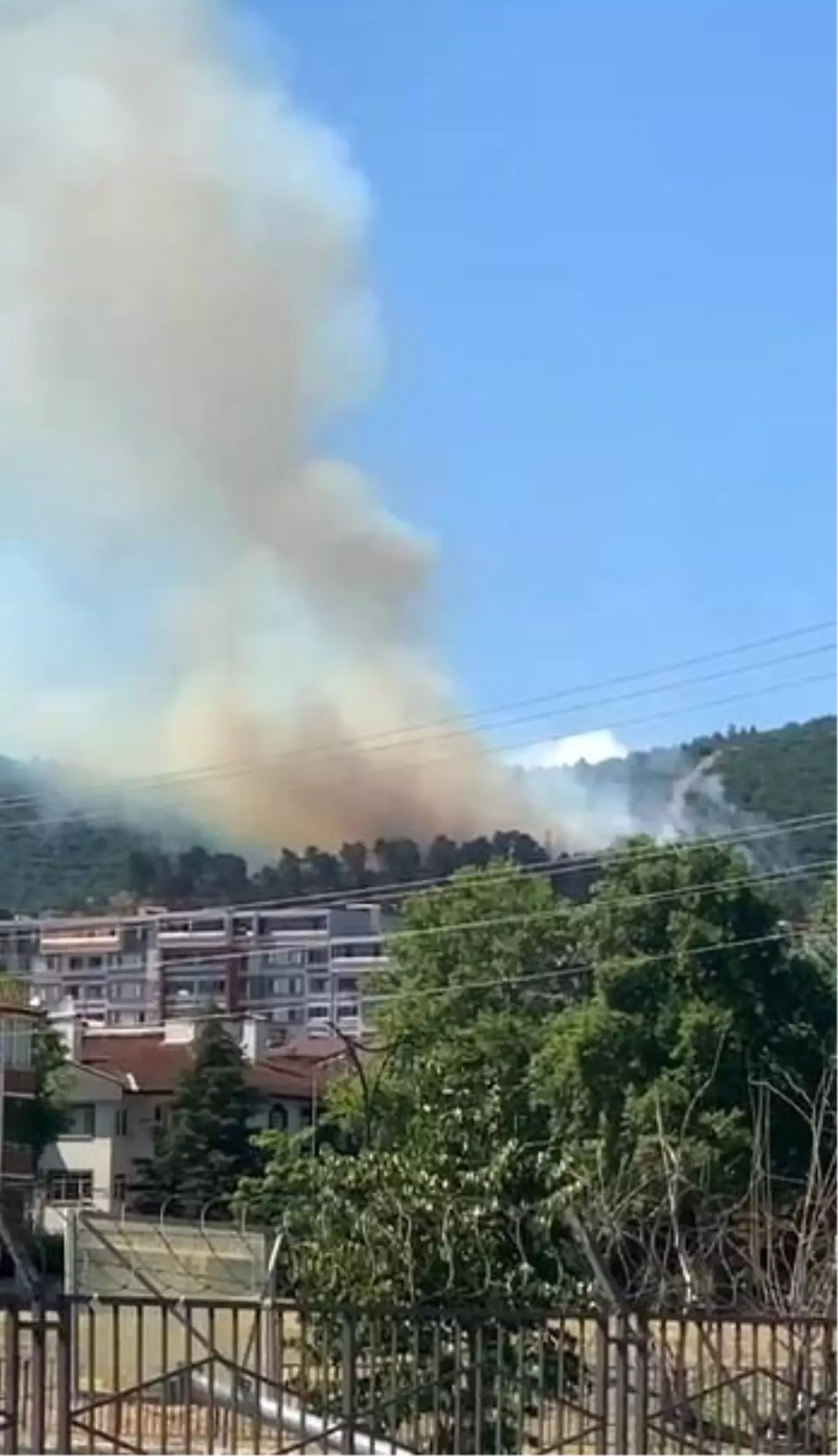 Kocaeli'de Orman Yangınına Müdahale Devam Ediyor