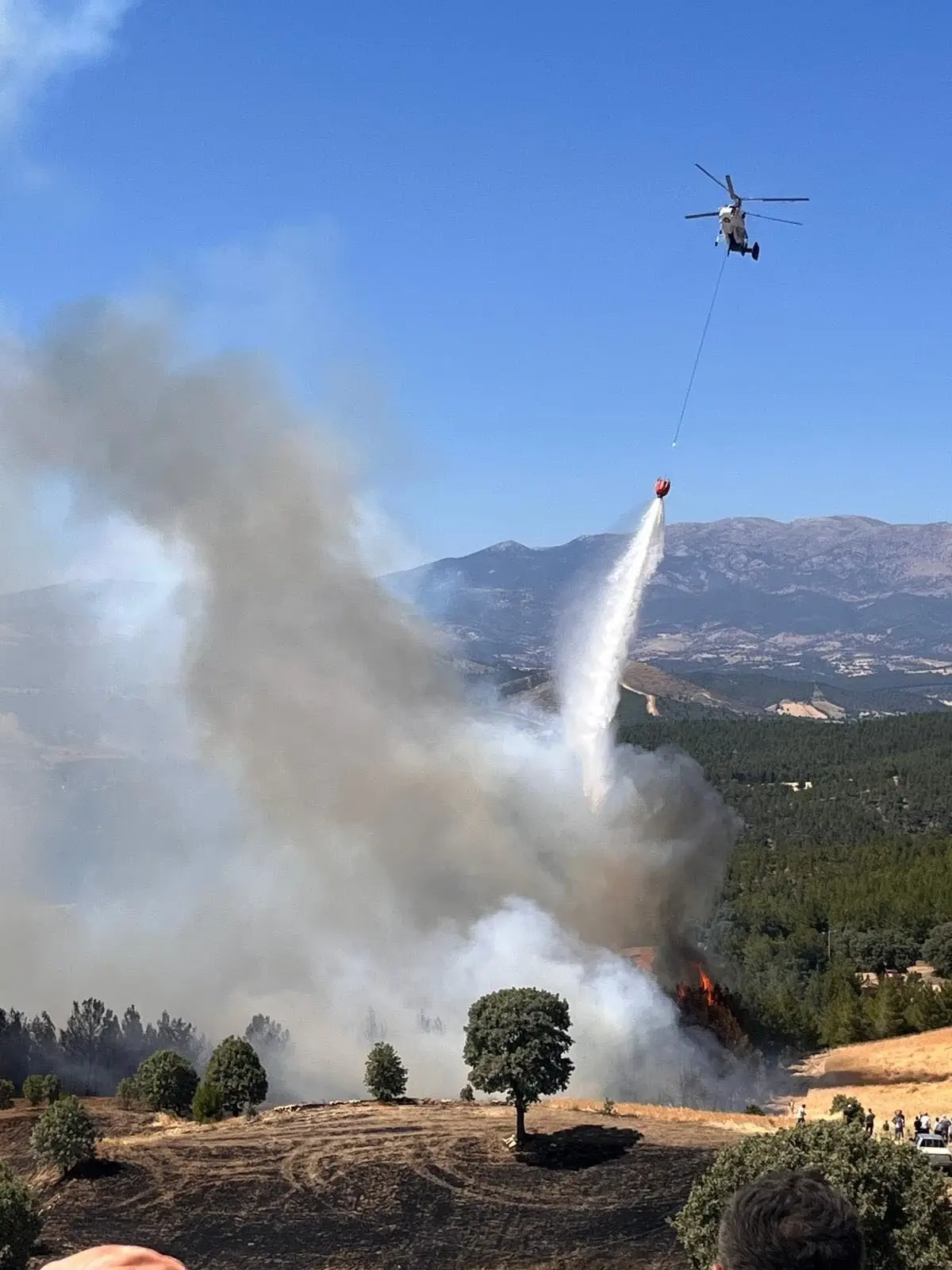Kütahya'nın Gediz ilçesinde orman yangını