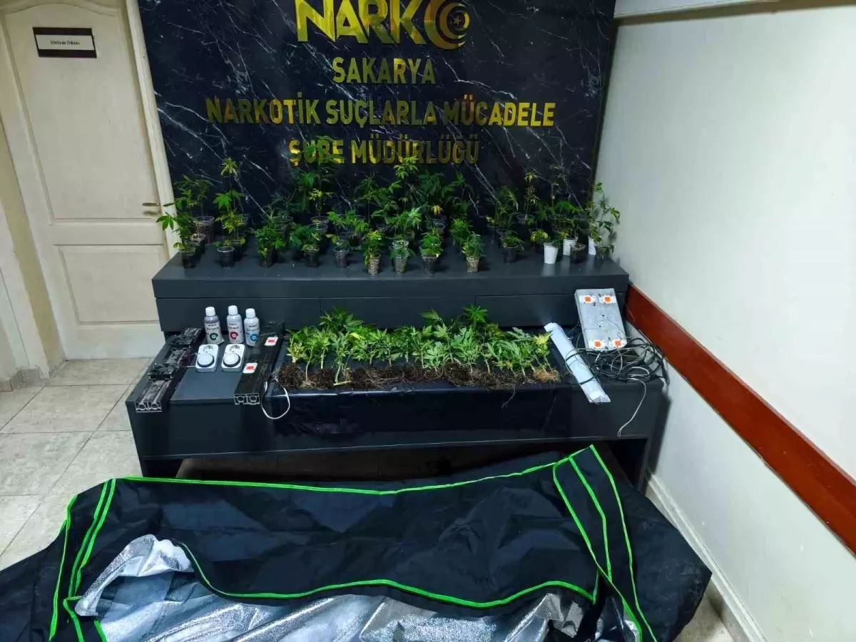 Sakarya'da Uyuşturucu Operasyonu: 5 Gözaltı