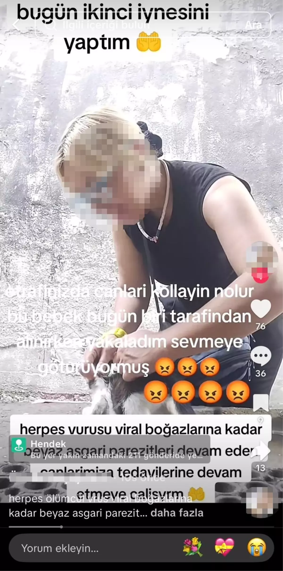 Sakarya'da Kedilere Yetkisiz İğne Yapan Kadına Tepki