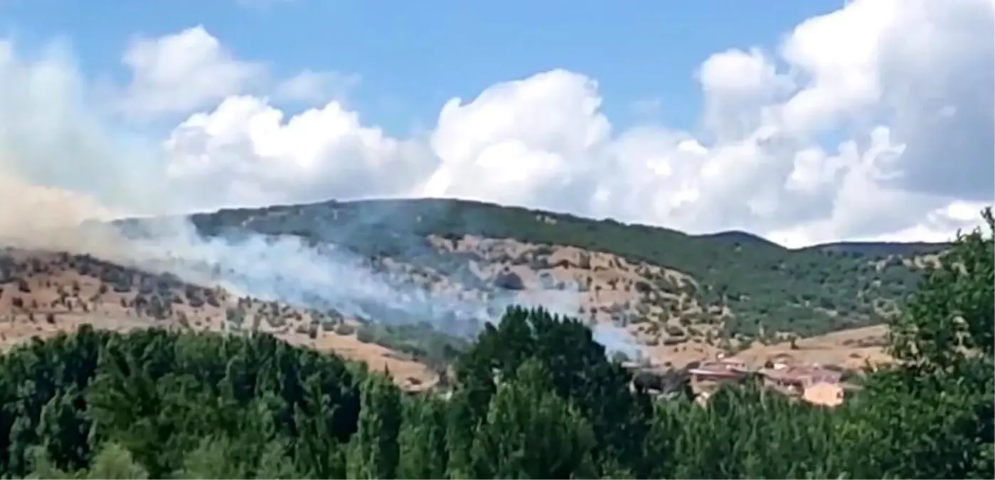 Tokat'ta Orman Yangını Kontrol Altına Alındı