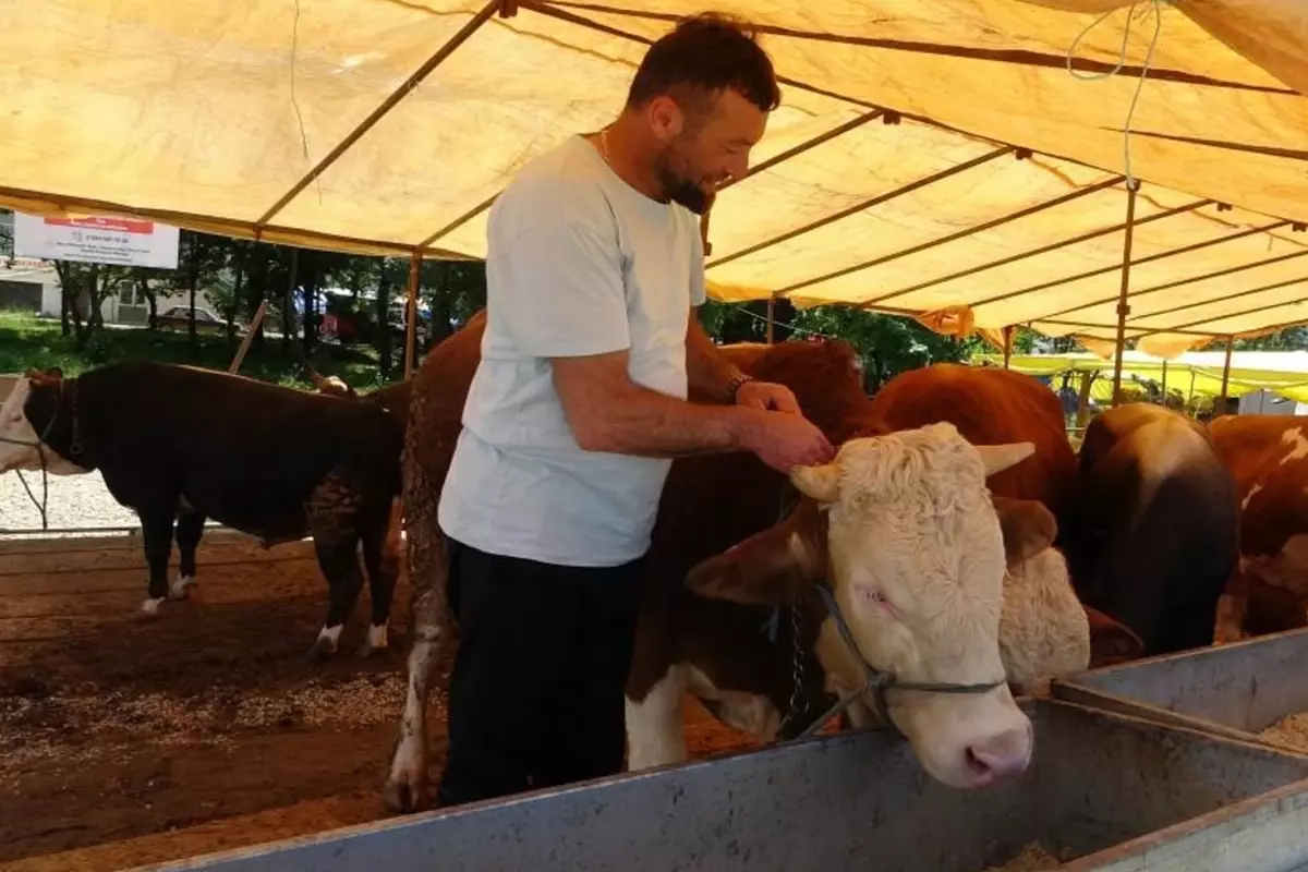 Türkiye'de şap hastalığı alarmı! Bakandan kırmızı et açıklaması geldi